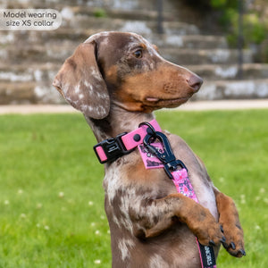 Waterproof Collar - Mean Girls