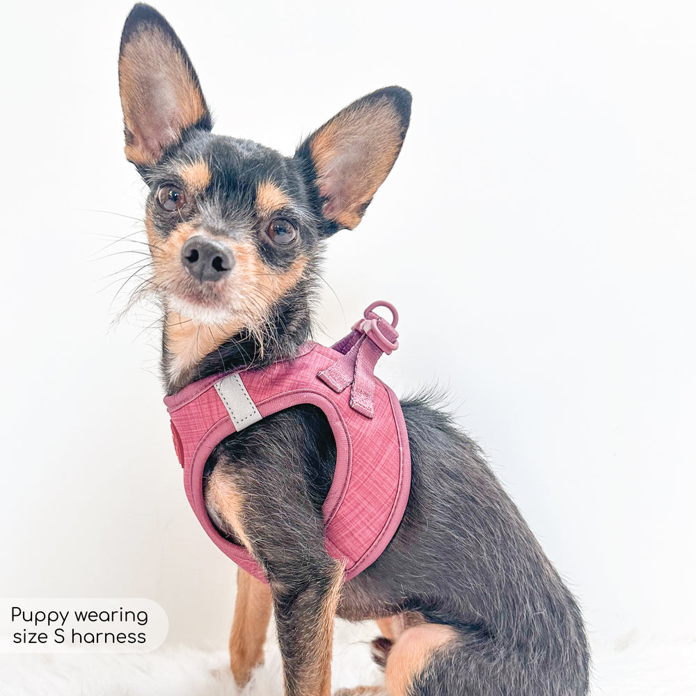 Pawsome Pup Harness - Burgundy