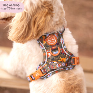 Tough Trails™ Harness - Rust & Bloom