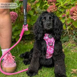 Tough Trails™ Harness - Mean Girls