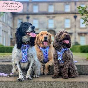 Tough Trails™ Harness - Tiny Diny