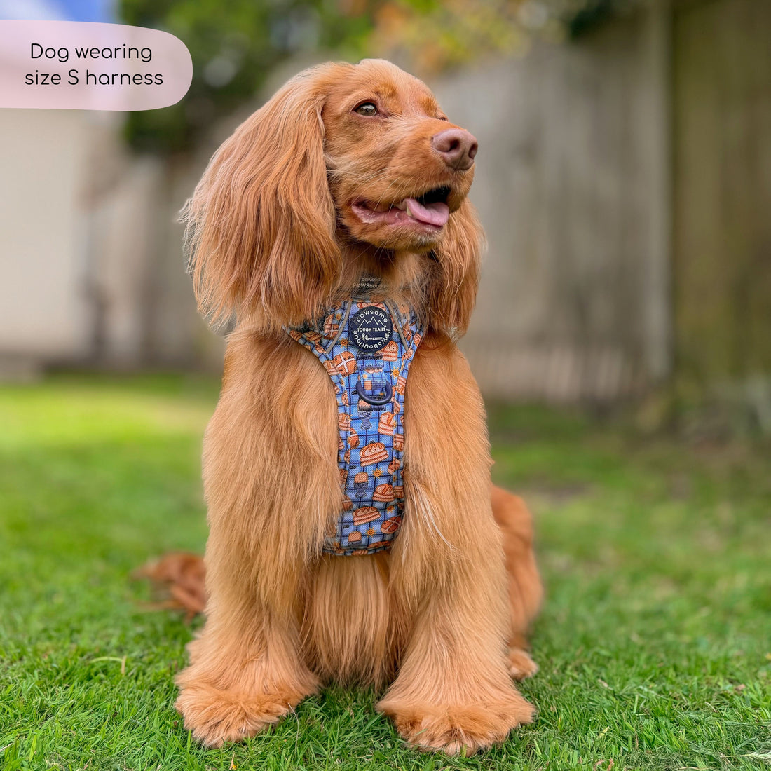 Tough Trails™ Harness -  Rise & Shine