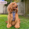Tough Trails™ Harness -  Rise & Shine