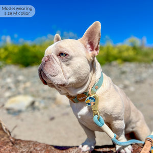 Disney© Waterproof Collar - Lion Friends