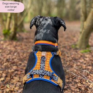 Disney© Collar - Woody