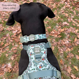 Disney© Collar - Rex