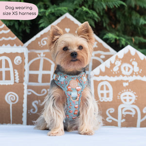 Disney© Tough Trails™ Harness - Gingerbread Bear Sage