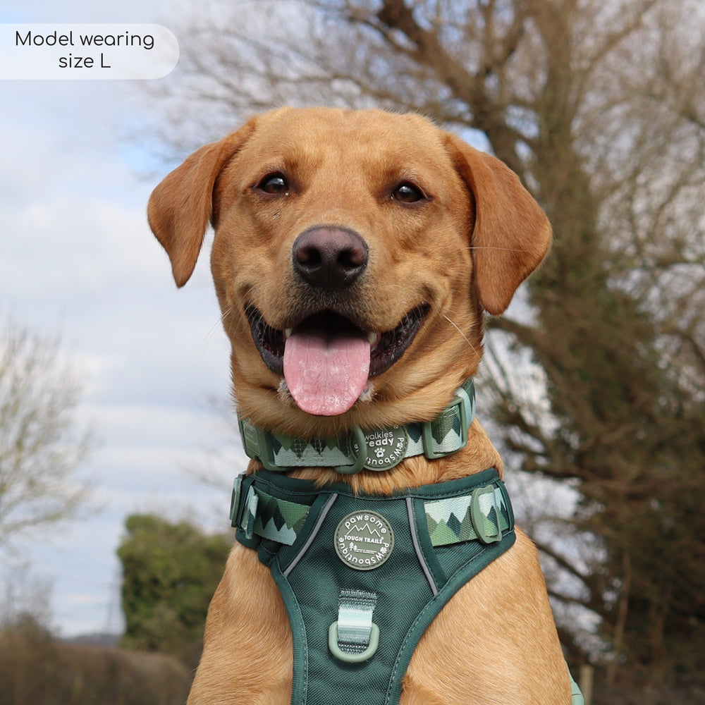 Collar - Walkies Ready® Forest Green
