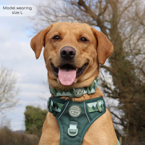 Collar - Walkies Ready® Forest Green