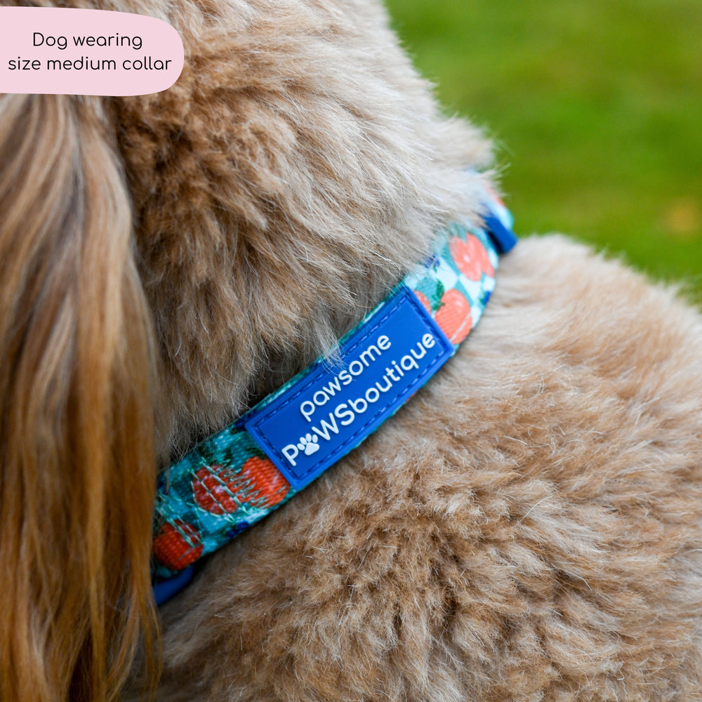 Collar - Fruit Punch