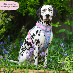 Tough Trails™ Harness -  Whimsical Wildflowers