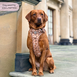 Disney© Tough Trails™ Harness - Slinky