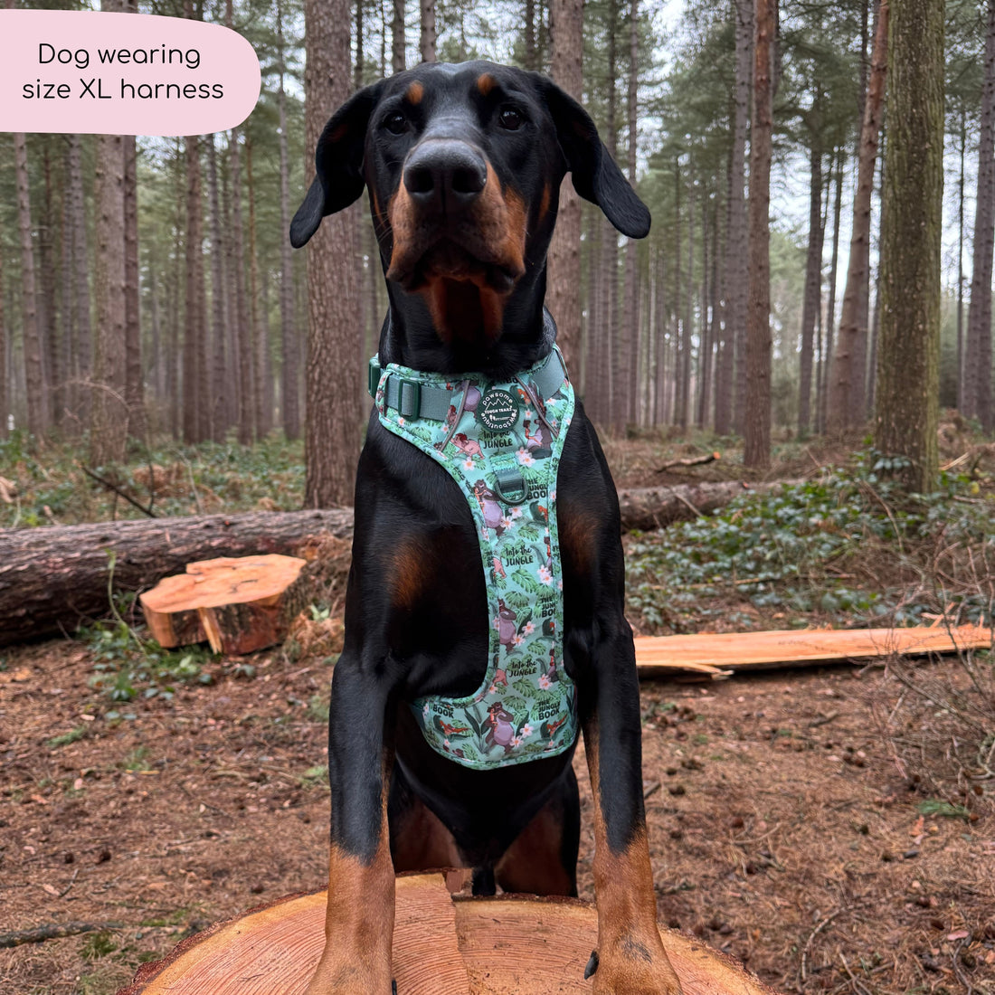Disney© Tough Trails™ Harness - Jungle Book
