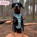 Disney© Tough Trails™ Harness - Jungle Book