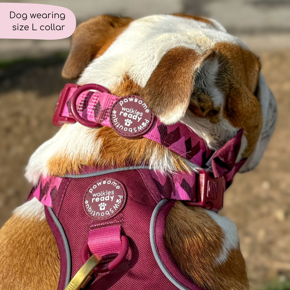 Collar - Walkies Ready® Mulberry