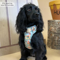Disney© Tough Trails™ Harness - Winnie The Pooh