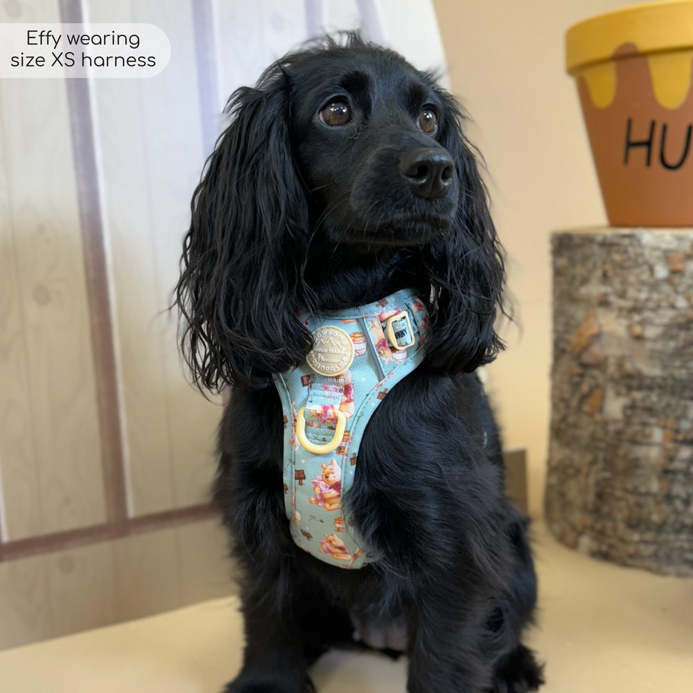 Disney© Tough Trails™ Harness - Winnie The Pooh