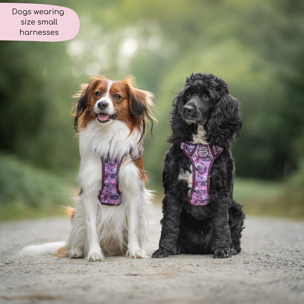 Tough Trails™ Harness - Roaming Wild