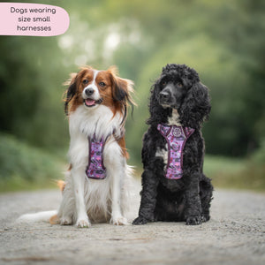 Tough Trails™ Harness - Roaming Wild