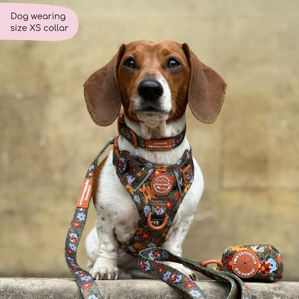 Collar - Rust & Bloom