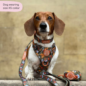 Collar - Rust & Bloom