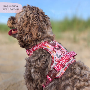 Disney© Tough Trails™ Harness - Sunset Safari