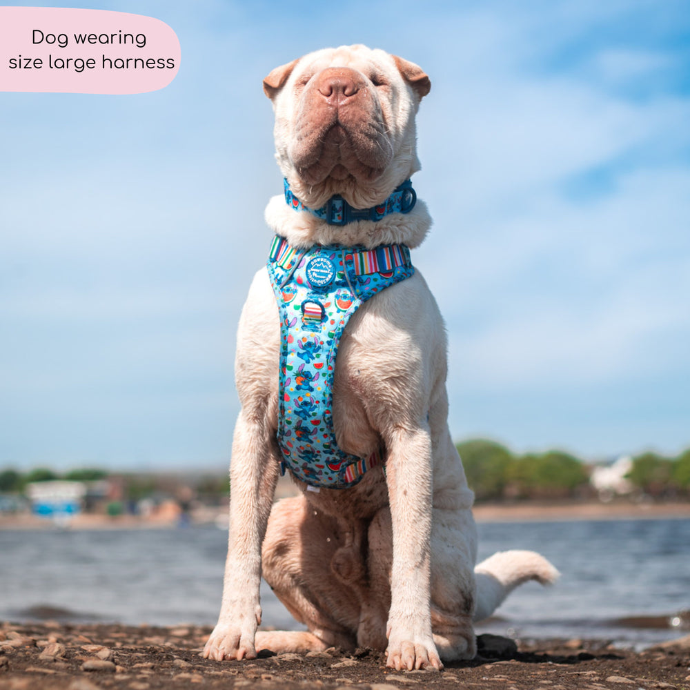 Disney© Tough Trails™ Harness - Stitch's Fruit Fiesta