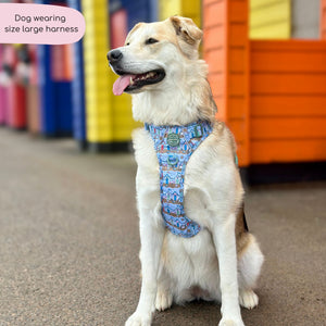 Tough Trails™ Harness -  Sandy Shores