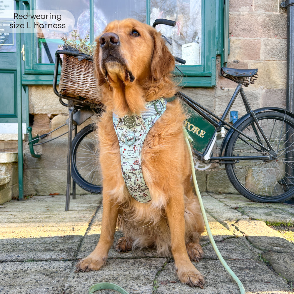 Disney© Tough Trails™ Harness - 100 Aker Wood