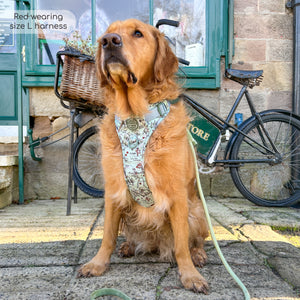 Disney© Tough Trails™ Harness - 100 Aker Wood