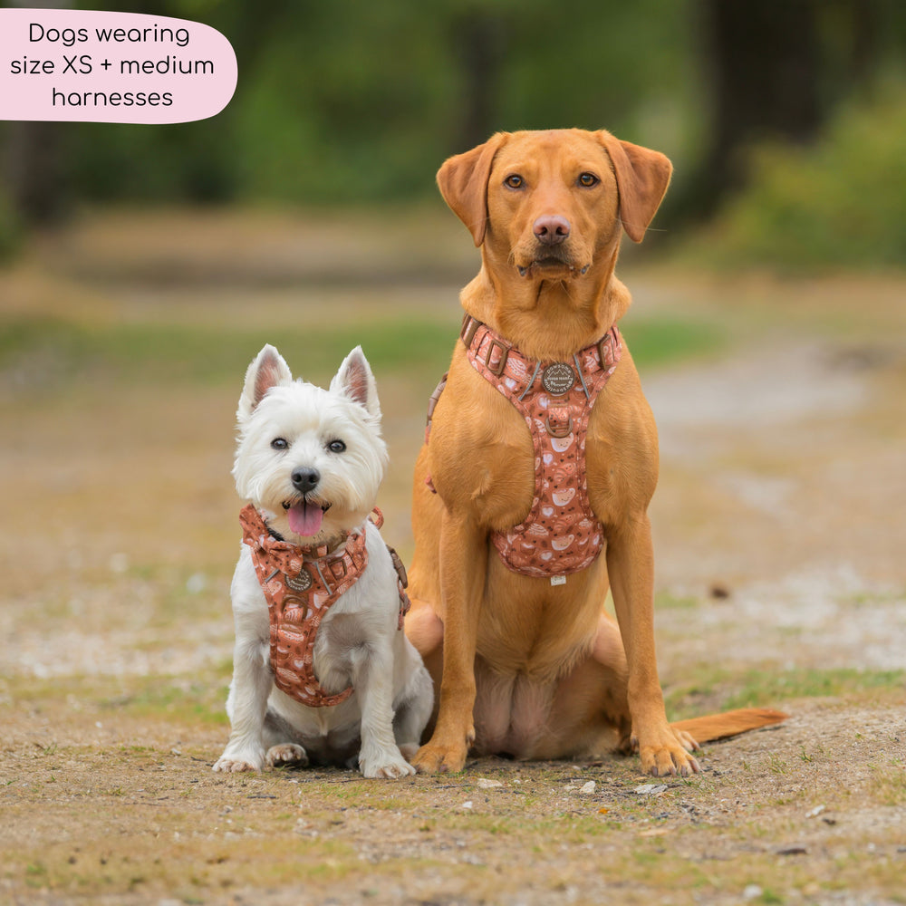 Tough Trails™ Harness - Cinnamon Spice