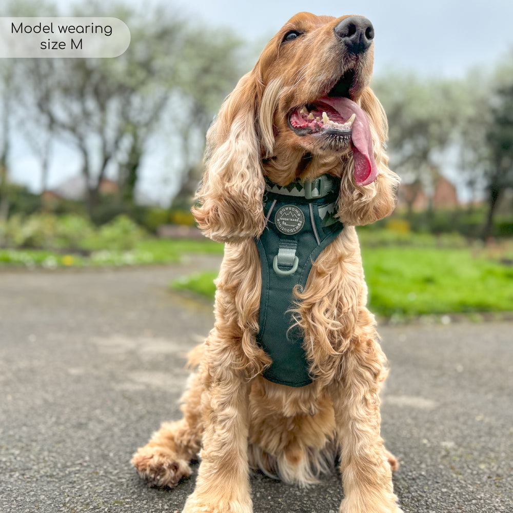 Collar - Walkies Ready® Forest Green