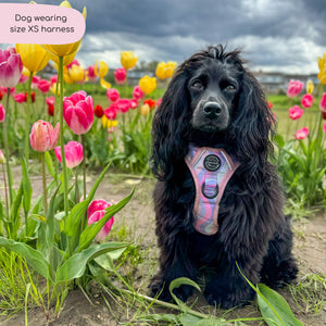 Tough Trails™ Harness - PPB Pastel Swirl