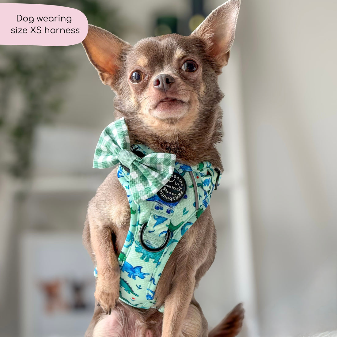Tough Trails™ Harness - Dinky Dino