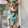 Tough Trails™ Harness - Dinky Dino