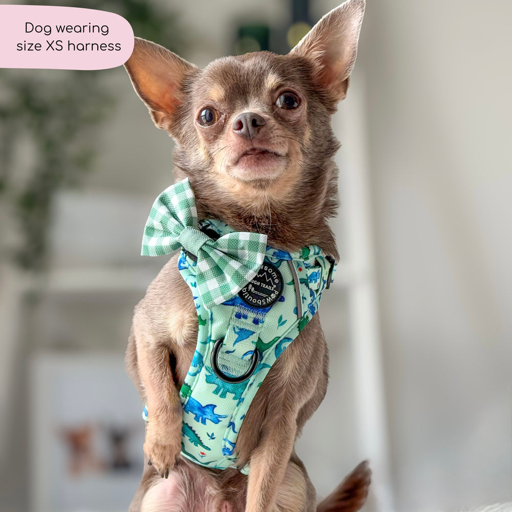 Tough Trails™ Harness - Dinky Dino