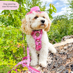 Tough Trails™ Harness -  Cowgirl