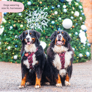 Tough Trails™ Harness - Mable's Meadow