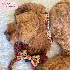 Collar - Snuggle Season