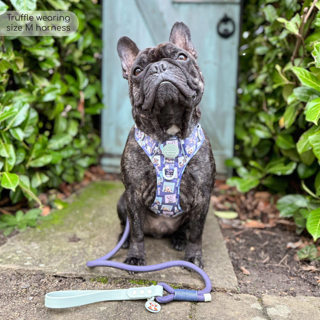 Disney© 4ft Rope Lead - Winnie + Friends - Sage and Blue