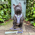 Disney© 4ft Rope Lead - Winnie + Friends - Sage and Blue