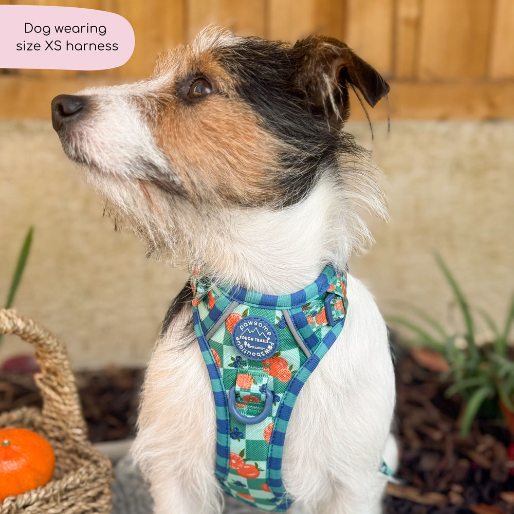 Tough Trails™ Harness -  Fruit Punch