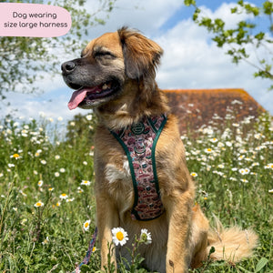 Tough Trails™ Harness -  Adventure Awaits