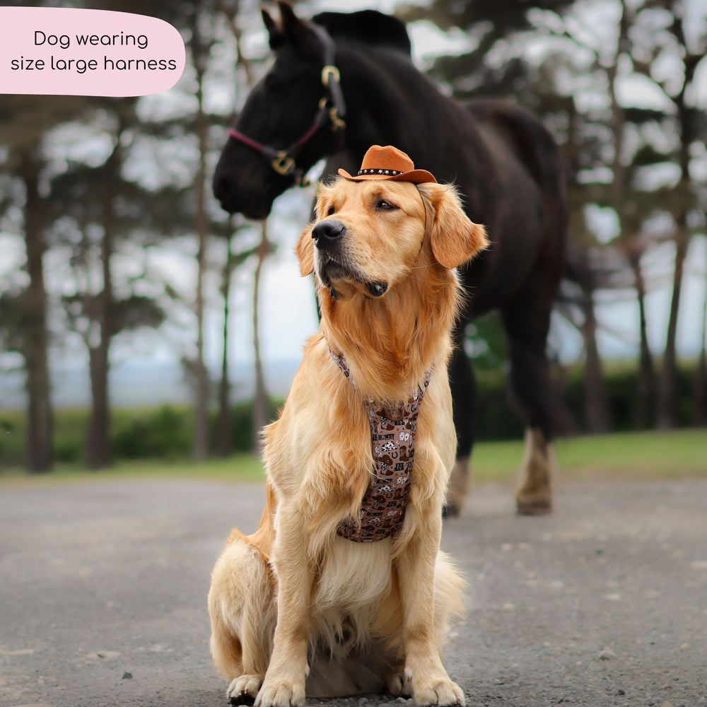 Tough Trails™ Harness -  Cowboy