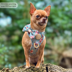 Disney© Tough Trails™ Harness - Winnie The Pooh