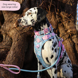 Disney© Collar - Mad Hatters Tea Party