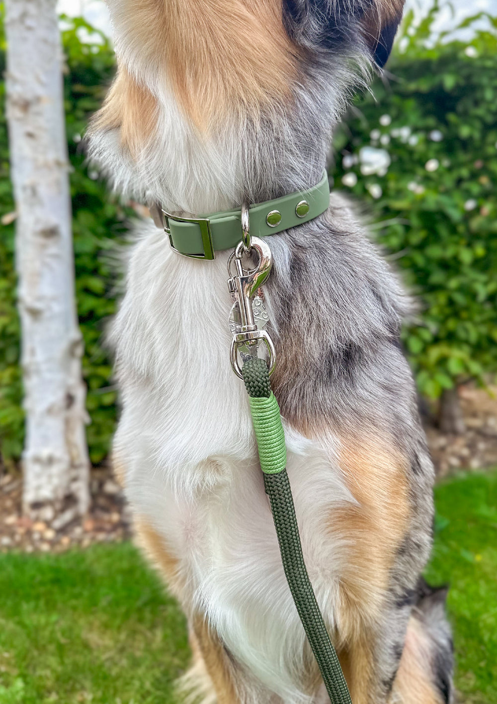 4ft Rope Lead - Khaki