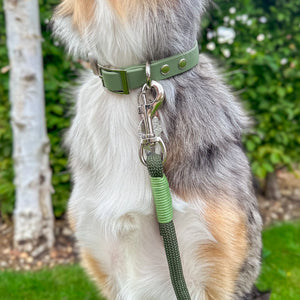 4ft Rope Lead - Khaki