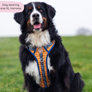 Disney© Tough Trails™ Harness - Woody