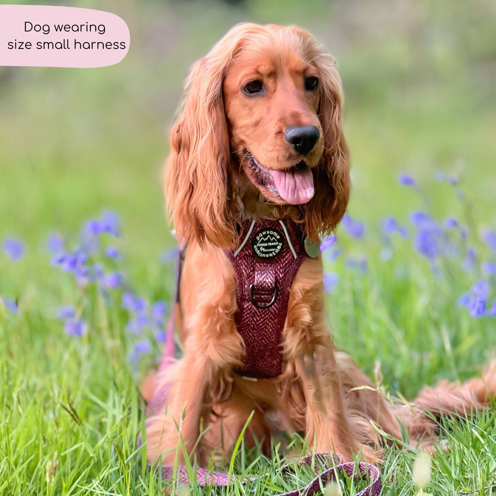 Tough Trails™ Harness - Country Burgundy